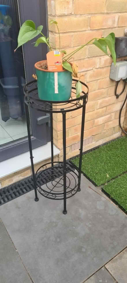 Photo of free Houseplant & Stand (Kingsnorth TN25) #1