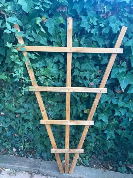 Photo of free Trellis for plant support (Danbury CM3) #1