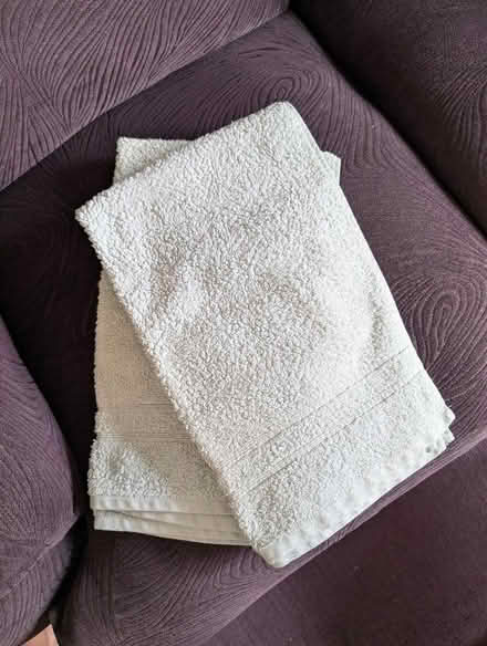 Photo of free Duck egg blue hand towels x 2 (Woodhall AL7) #1