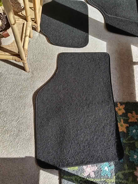 Photo of free Car mats (Godalming GU7) #2