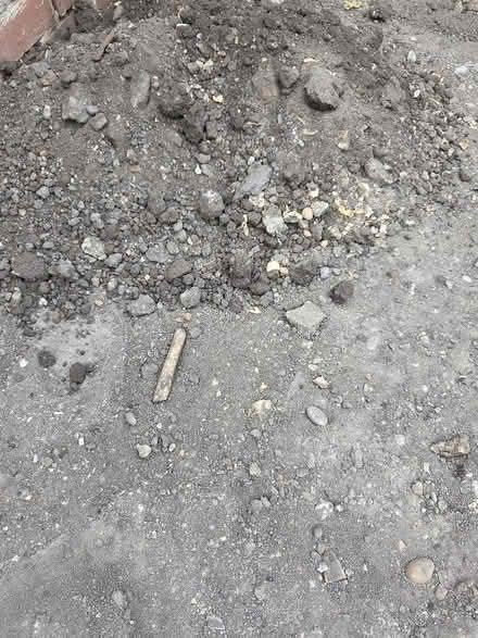 Photo of free Soil (Waddon CR0) #1