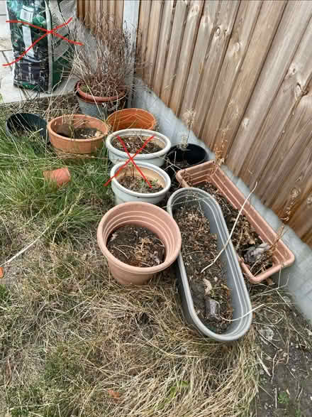 Photo of free Plastic plant pots all sizes (Didsbury M20) #1
