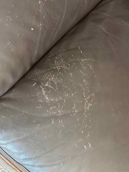 Photo of free Dark brown leather sofa (Galleywood CM2) #2