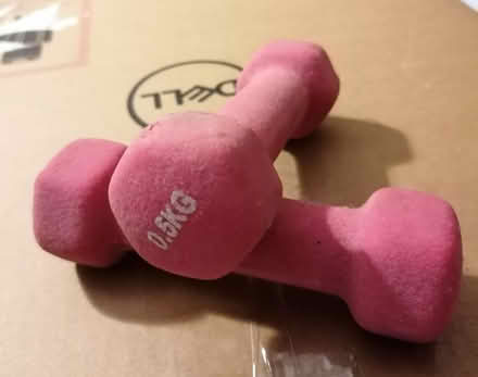 Photo of free 2x 0.5kg dumbell style weights (Blaydon NE21) #2