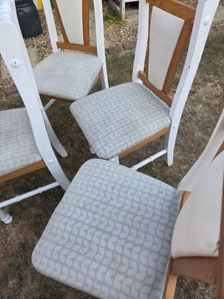 Photo of free Dining chairs - Pine wood (Brickhill Bedford MK41) #2