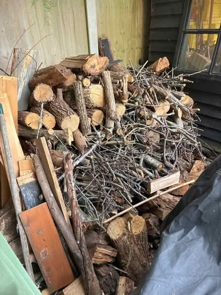 Photo of free Firewood (CM7 4ND) #1