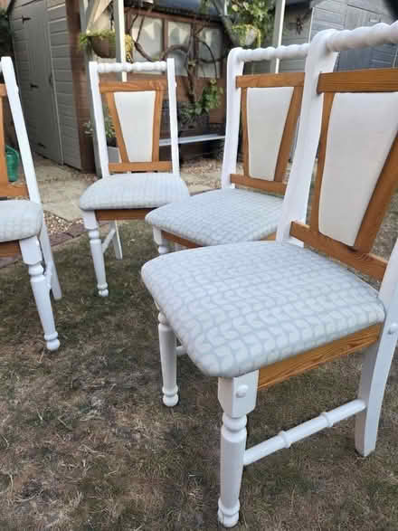 Photo of free Dining chairs - Pine wood (Brickhill Bedford MK41) #1
