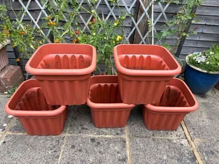 Photo of free Plastic planters x5 (Chorleywood WD3) #1