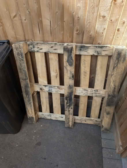 Photo of free Pallet (Basildon SS14) #1