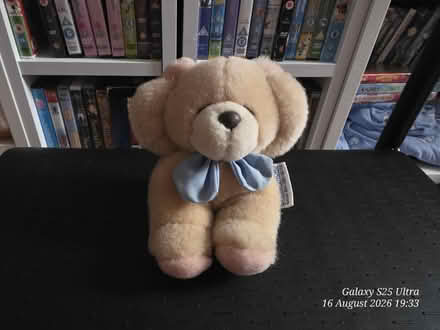Photo of free Andrew Brownsword Bear (spondon DE21) #1