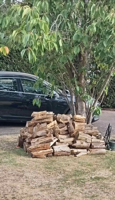 Photo of free Wood for Log Burner (Cropston) #1