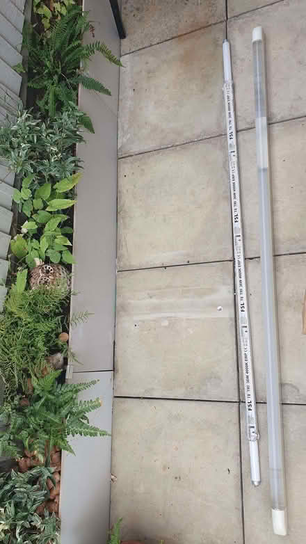 Photo of free Flourescent light and striplight (Calne SN11) #1