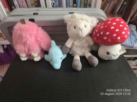 Photo of free Random Plushies (spondon DE21) #1