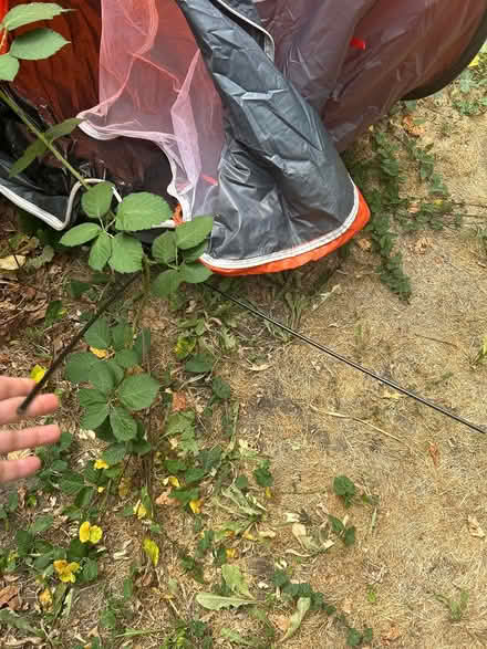 Photo of free One - Person Tent (Twickenham TW1) #2