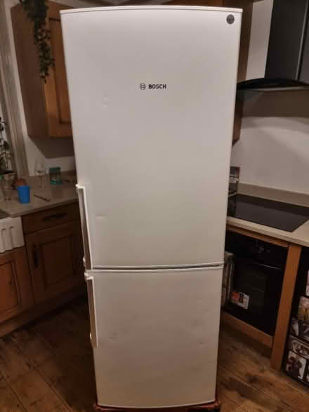 Photo of free Bosch fridge freezer (Hillsborough S6) #1