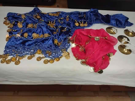 Photo of free Belly dancing items (Newhaven Edinburgh EH5) #1