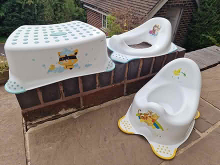 Photo of free Potty Set (Bradway, S17) #1
