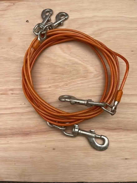 Photo of free 2m dog leads for camping etc (Lower Cam GL11) #1