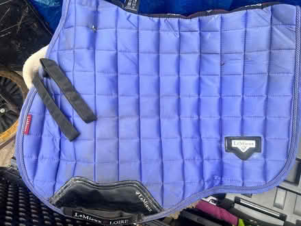 Photo of free Saddle pads, grooming and storage (West Ewell, Epsom) #1