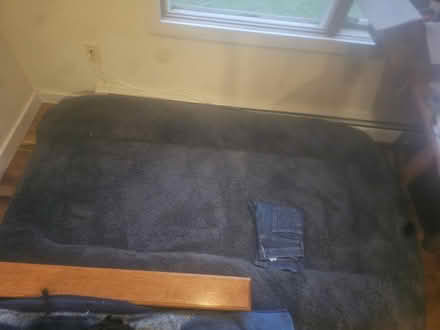 Photo of free Human Dog Bed (Gardiner) #1