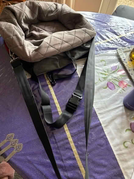 Photo of free 2 Kong dog car seats (Sundridge TN14) #4