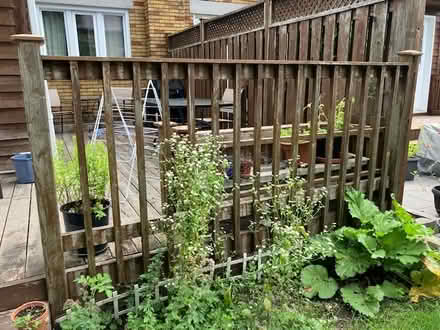 Photo of free two 8' wooden railings incl 47 2x2s (Huron and Wellington) #1