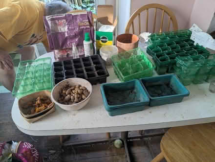Photo of free Assorted gardening items (Harlesden NW10) #1