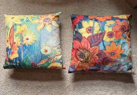 Photo of free Throw Pillows for Porch or Patio (Norbeck and Layhill Roads) #1