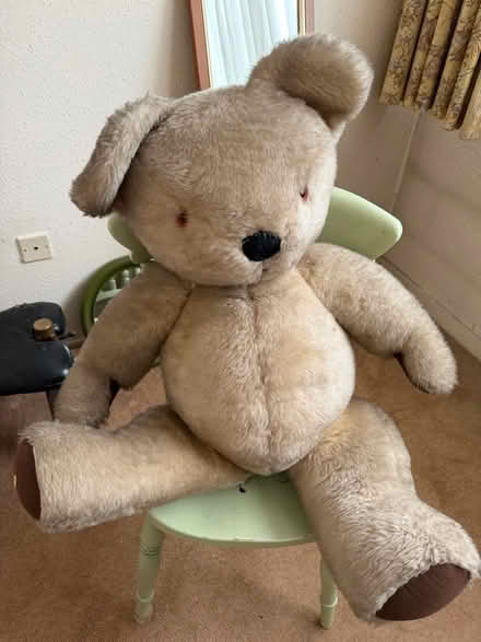 Photo of free Giant bear (Dagenham RM9) #1