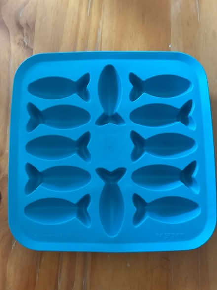Photo of free Fish shaped ice cube tray (Southsea PO4) #1
