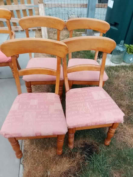 Photo of free 6 antique pine dining chairs (Hereford HR4) #2