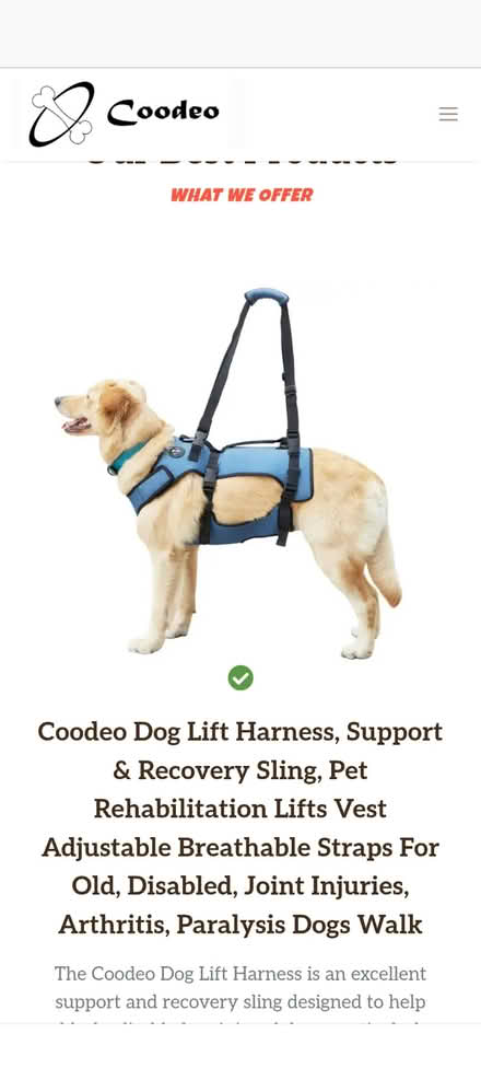 Photo of free Dog harness XL (Laurel heights) #1