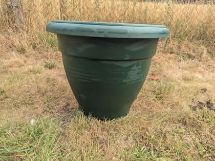 Photo of free Large Plant Pot (Weston Rhyn, Oswestry SY10) #4
