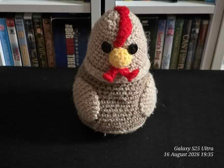 Photo of free Knitted Chicken (spondon DE21) #1