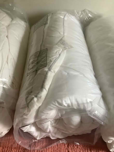 Photo of free 4x duvet: 2xsingle 2xking (Sudbury, CO10) #4