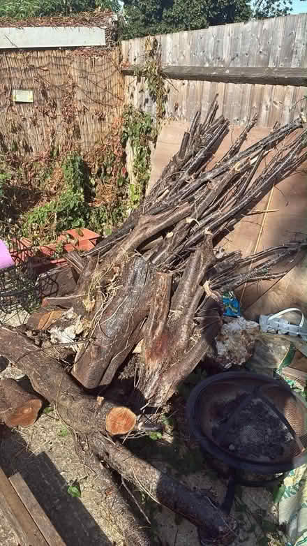 Photo of free Logs (Faringdon SN7) #2