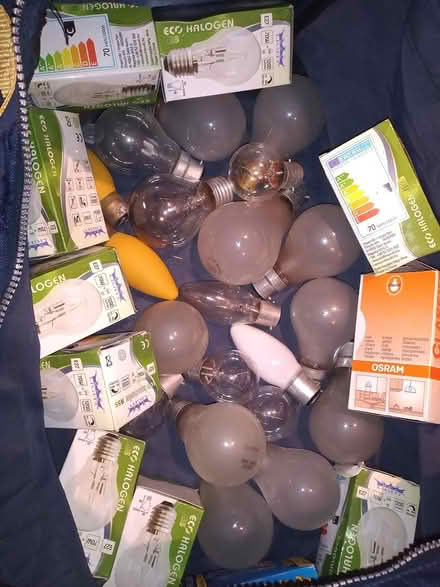 Photo of free a mixed job-lot of light bulbs (City Centre S1) #1