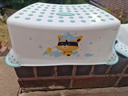 Photo of free Potty Set (Bradway, S17) #2