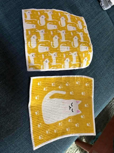 Photo of free Cat dish clothes (Near Chelmsford Center) #1