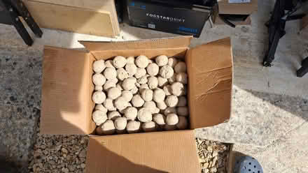 Photo of free Wild bird fat balls (Kings Stanley GL10) #2