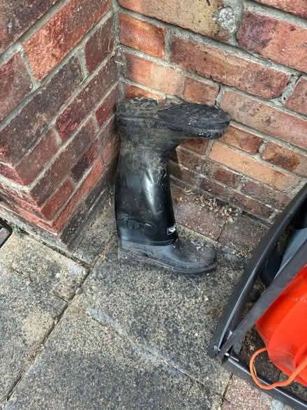 Photo of free Size 7 wellies (Furze Platt SL6) #1