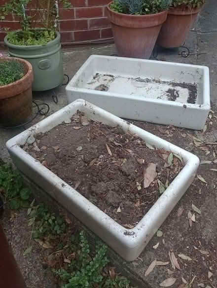 Photo of free Old ceramic sink planters (Headingley) #1