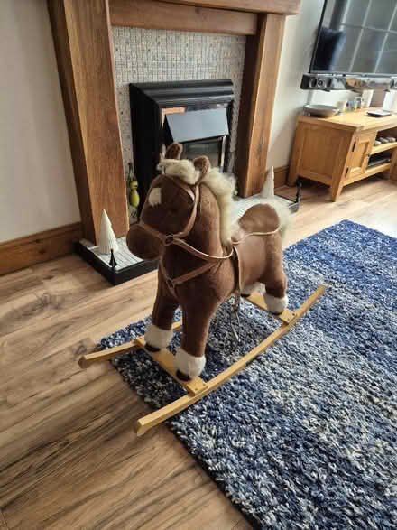 Photo of free rocking horse (Winyates Green B98) #1