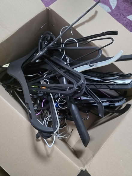 Photo of free Box of hangers (Cheshunt EN8) #1