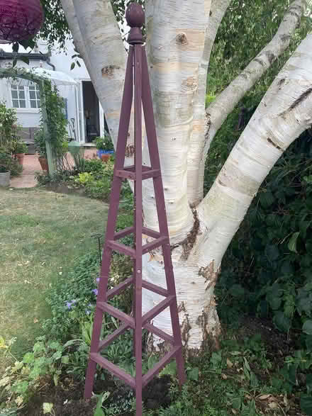 Photo of free 2x kits to make garden obelisks (Danbury CM3) #2
