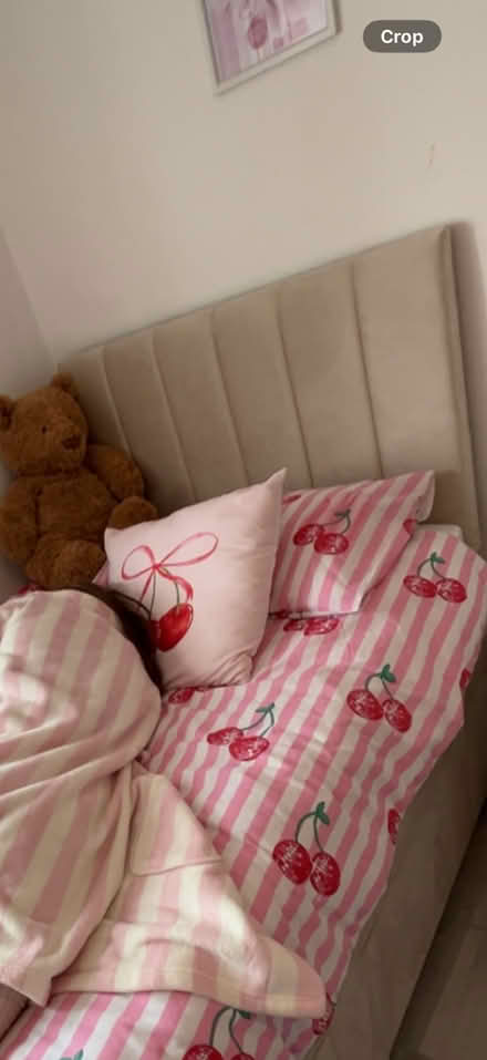 Photo of free Single bed (Chirton NE29) #4