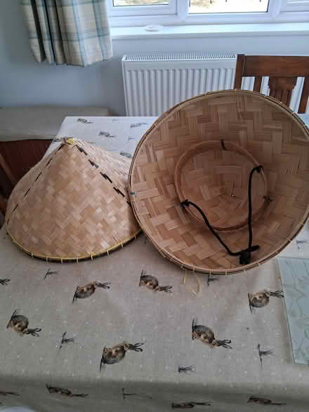 Photo of free Two Burmese hats (Bishop's Lydeard TA4) #1