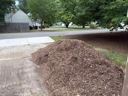 Photo of free Mulch (Near Seven Mile and Farmington) #1