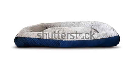 Photo of Large dog bed (Ware SG12 0) #1