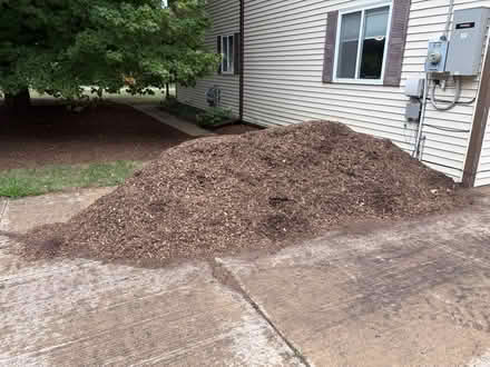 Photo of free Mulch (Near Seven Mile and Farmington) #2